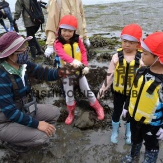 厚岸、カトリック幼稚園が海の観察会(2022-07-17)