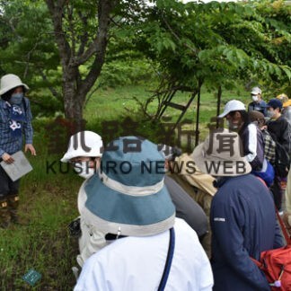 春採公園遊歩道で夏の草花を観察　市民ら２０人参加(2022-07-27)