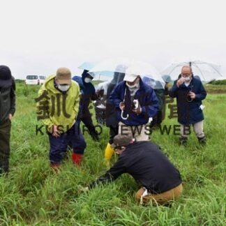 歯舞湿原保全、活用へ市議会視察　国内唯一の「ブランケット型」(2022-07-21)