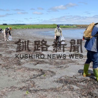 琵琶瀬の海岸でごみ拾いに汗　道イオン同友店会(2022-07-23)