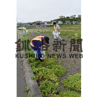 坂野建設社員ら清掃奉仕活動　千代ノ浦海岸周辺(2022-07-27)