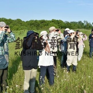 夕暮れの中鳥探し　釧路湿原散策しながら(2022-07-09)