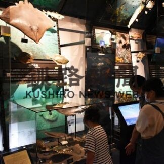 ３連休中日、釧根大雨　博物館にぎわう(2022-07-18)