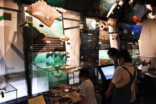 3連休中日、釧根大雨 博物館にぎわう(2022-07-18)