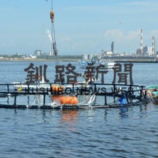 釧路港にいけす設置　ギンザケ養殖試験で(2022-07-05)
