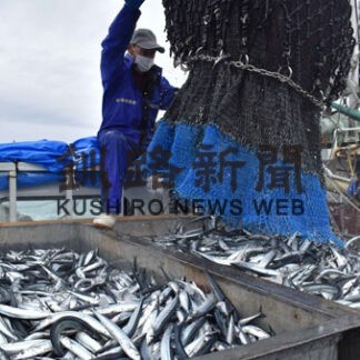 サンマ大型船初水揚げ　棒受け網漁、花咲港に５９．６㌧(2022-08-27)