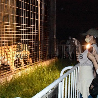 夜の動物園楽しんで　６、１３日もまつり(2022-08-04)