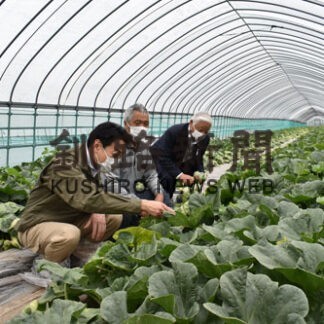 菅原振興局長、農作物の生育調査　雨、低温で品質に影響(2022-08-04)