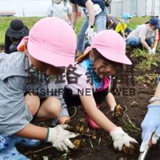 イモ掘りに園児ら笑顔　浜中町立５保育所(2022-09-18)