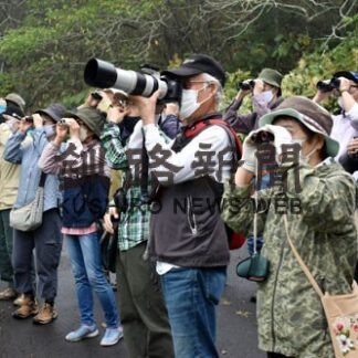 春採湖を散策し鳥の観察楽しむ(2022-09-19)