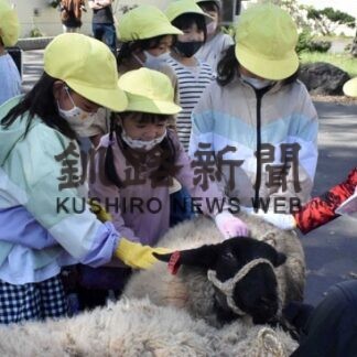 昭和小１年生、ヒツジたちと最後の別れ(2022-09-23)