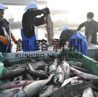 秋サケ今年も無償配布　漁協、とさばき方講習会も(2022-10-18)