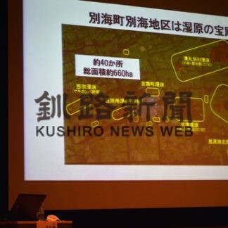 「ムセンスゲ」７カ所で確認　別海町の湿地帯で(2022-10-26)