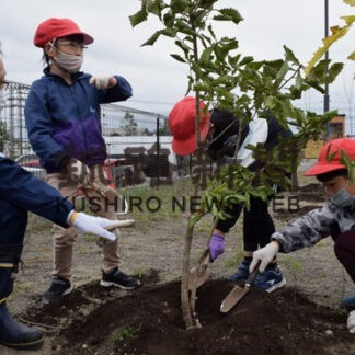 自然再生事業に理解　釧路火発で植樹(2022-10-04)