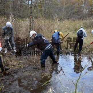 自然採食地を整備　タンチョウの餌確保(2022-10-29)