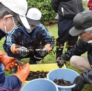ウチダザリガニ１９０匹駆除　明治公園の池で２年ぶり(2022-10-09)