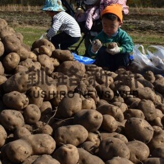 イモ袋詰めに笑顔　３年ぶり伯爵まつり盛況(2022-10-18)