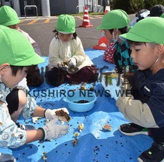 交通安全願うヒマワリ来年も咲いて　根室署、園児招き種採取(2022-10-15)