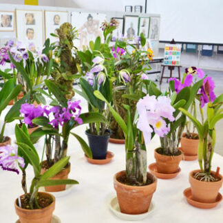 陶芸や短歌力作ずらり　総合文化祭(2022-10-23)