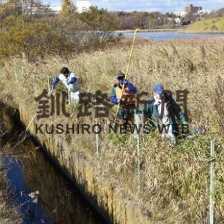 春採湖周辺や湖内のごみ清掃　環境コンサルタント(2022-11-06)