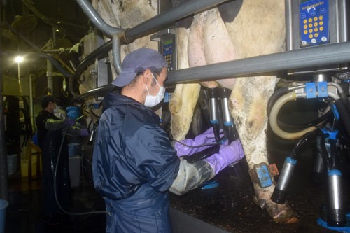 第4部 産業編④ 仁成ファーム(釧路市) 障害者 貴重な戦力(2022-11-29)