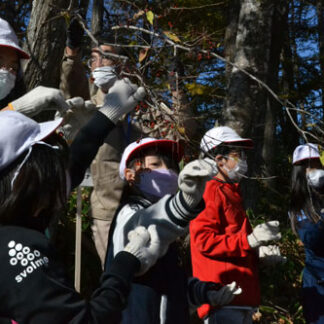自然木の種採取し植樹用苗床作り　遠矢小(2022-11-03)