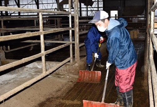 第4部 産業編④ 仁成ファーム(釧路市) 障害者 貴重な戦力_1(2022-11-29)