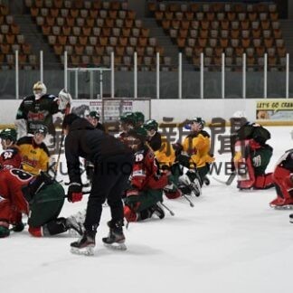 クレインズ上位進出狙う　５日から韓国でＨＬアニャン戦(2022-11-04)