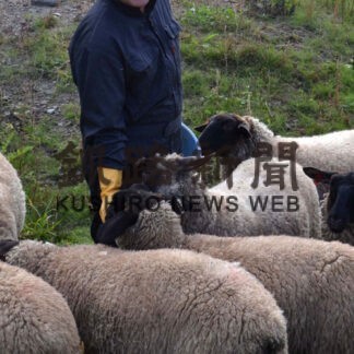標茶産羊肉の魅力全国に　元町職員がラムファーム立ち上げ(2022-11-04)