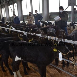 初競り 取扱高１億２８０６万円　ホクレン家畜市場(2023-01-12)