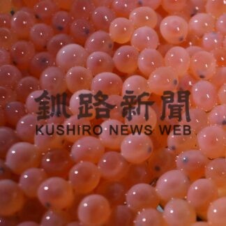 サケの稚魚育てよう、里親の募集を開始(2023-01-15)