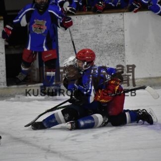 昭和小が逆転優勝　ぬさまいライオンズ杯(2023-01-29)