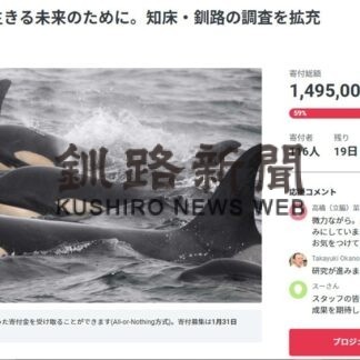 羅臼や釧路沖 シャチ調査　京大ＷＲＣ海獣班ＣＦで支援呼び掛け(2023-01-15)