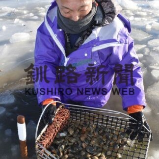 厳冬期のアサリ漁　歯舞漁協で手掘り解禁(2023-01-31)