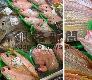 初めての沖縄訪問！過去から学ぶ、現代を生きる私たちへの問いかけ_4(2023-02-01)