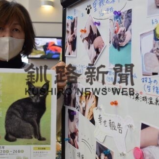 愛くるしい猫の魅力知って　阿寒湖桜猫倶楽部、２２日から日本画展(2023-02-21)