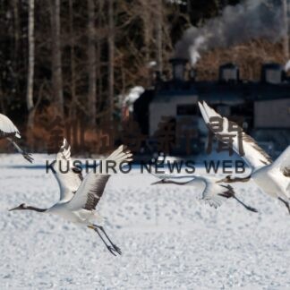 SL冬の湿原号フォトコンテスト_6(2023-02-20)