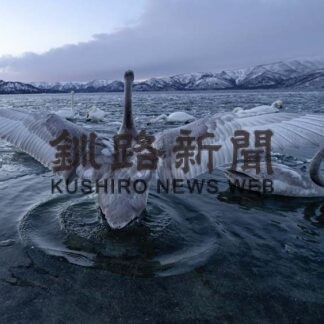 弟子屈フォトコン　釧路の浦田さん最優秀賞(2023-02-22)