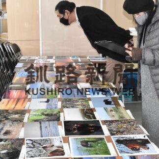 ５部門に応募作品２２２点　根室フォトコン審査会(2023-02-22)
