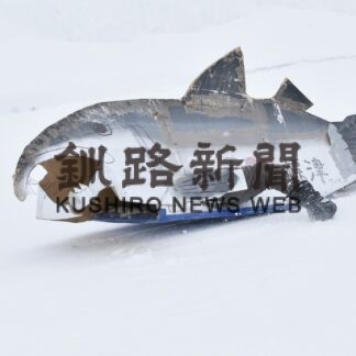 仮装したそりで滑走、パフォーマンス競う　２３年ぶりに大会(2023-03-11)