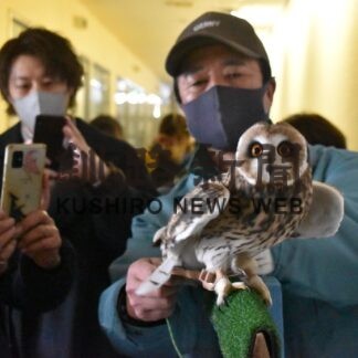 コミミズクフライトガイド控え訓練　１１日から釧路市動物園(2023-03-06)