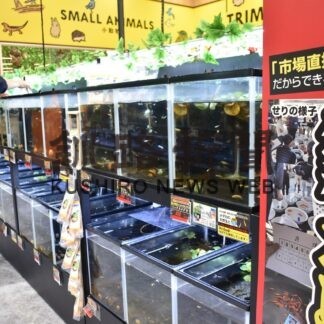 ＤＣＭ木場店リニューアルオープン　日曜大工の体験コーナーも(2023-04-07)