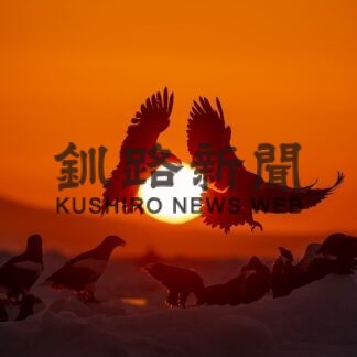 知床羅臼写真コンテスト２０２２　入賞作品紹介(2023-04-14)