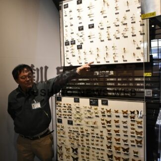 釧路市立博物館でトンボやチョウの標本一新、常設展示入れ替え(2023-04-03)