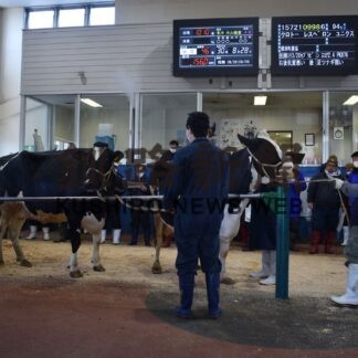 ホクレン根室地区、離農者増で初の臨時市場(2023-04-04)