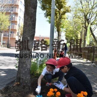 児童が沿道の花壇に苗植える　コスモス街道事業で(2023-05-27)