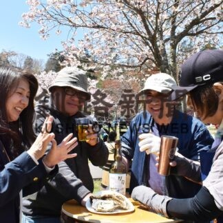 サクラ見頃、カキ濃厚　まつり開幕、厚岸限定ウイスキー販売(2023-05-14)