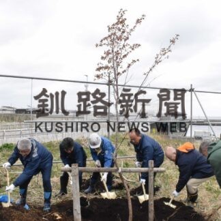 歯舞地区マリンビジョン協議会　千島桜の成木３本を植樹(2023-05-17)