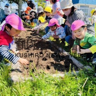 輪禍ゼロへヒマワリの種　音別で願い込め植える【釧路】(2023-06-01)
