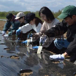 アイヌ民族伝承有用植物の試験栽培開始(2023-05-13)